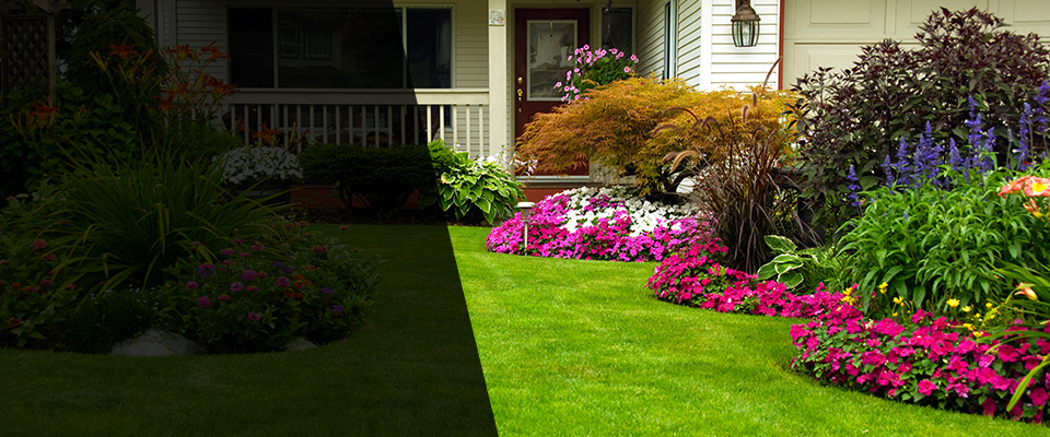 Winfield Landscapers